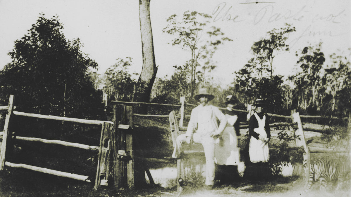 Higgins' paddock at Toombul, ca.1888.