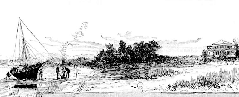 Tweed Heads. (Australian Town and Country Journal, August 1886)