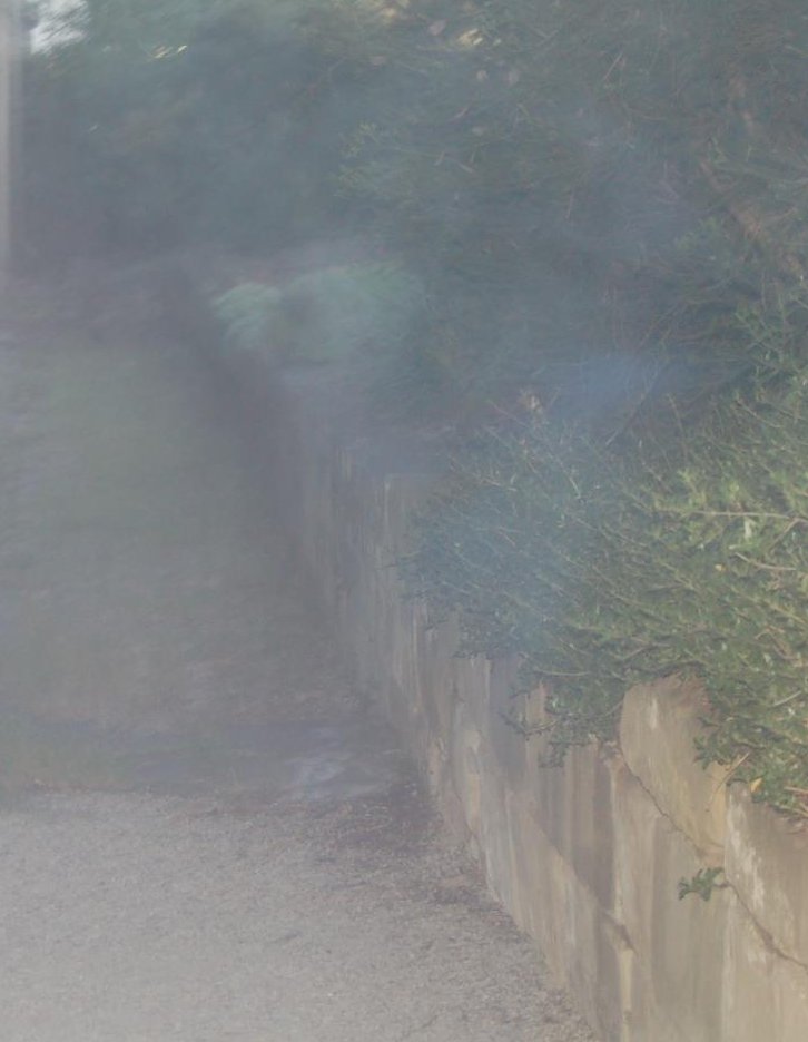 The cropped image purported to be taken at South Brisbane Cemetery.