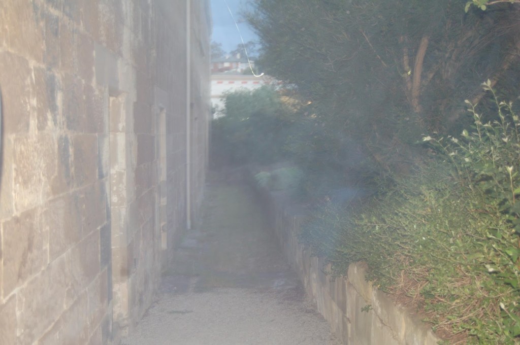 The uncropped image.